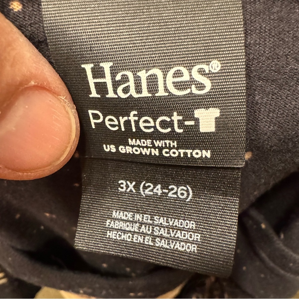 Dolly Parton Graphic Tee - Hanes 3X V Neck - Picture 2 of 4
